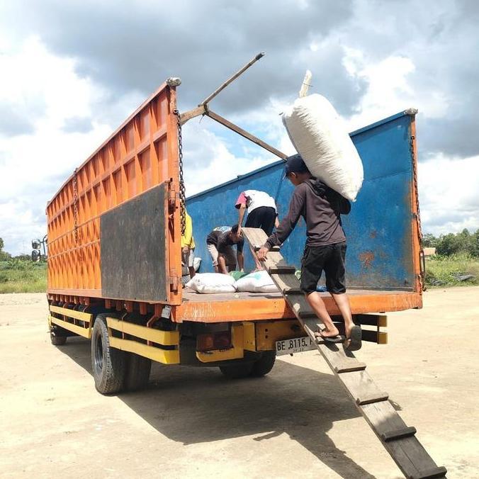 Kulit Kopi / Kulit Kopi Kering / Kulit Kopi Pakan Ternak