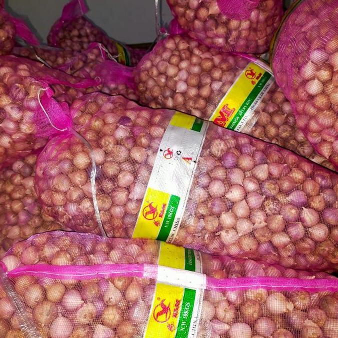 Bawang Putih Tunggal/Bawang Lanang Tunggal Import Jumbo 1Kg