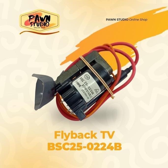 Playback / flyback tv bsc25-0224B / Flyback Tv BSC25-0224B RTRNFA142WJZZ