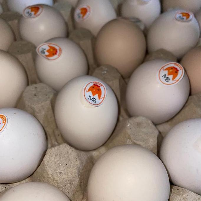 TELUR AYAM KAMPUNG OMEGA/TELUR KAMPUNG OMEGA (30 BUTIR) BS