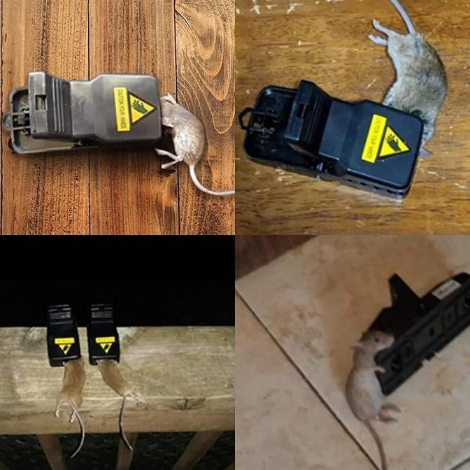 JARAGGE 4pcs Alat Pembunuh Tikus Alat Tangkap Tikus Jeratan Tikus Sentreg Perangkap Tikus Alat Jebak