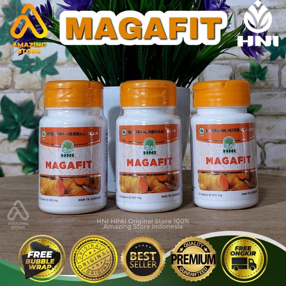 Magafit Hni Hpai Obat Maag Kronis Dan Obat Asam Lambung Ampuh, Herbal Obat Asam Lambung Hni Hpai