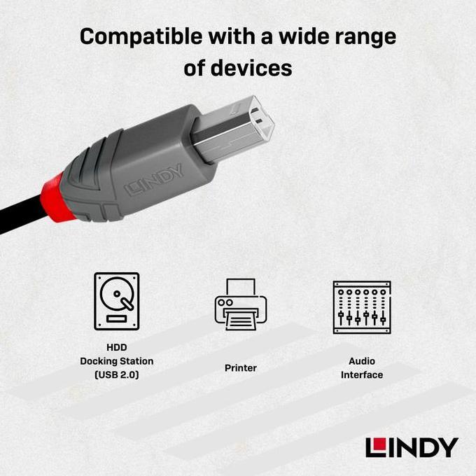 Wurzen- Kabel Printer & Audio Interface Lindy Usb 2.0 Type C To Type B Male To Male