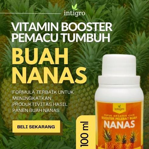 Pupuk Nanas Booster Pemacu Pertumbuhan Tanaman Buah Nanas Pelebat Pembesar Nanas Booster Agar Cepat 