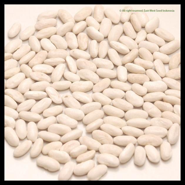 Promo / Buncis Logawa.Benih Logawa,Benih Buncis Logawa 500 Gram