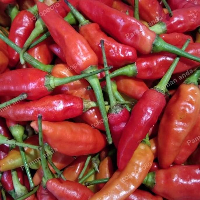 Cabe Rawit 1 Kg
