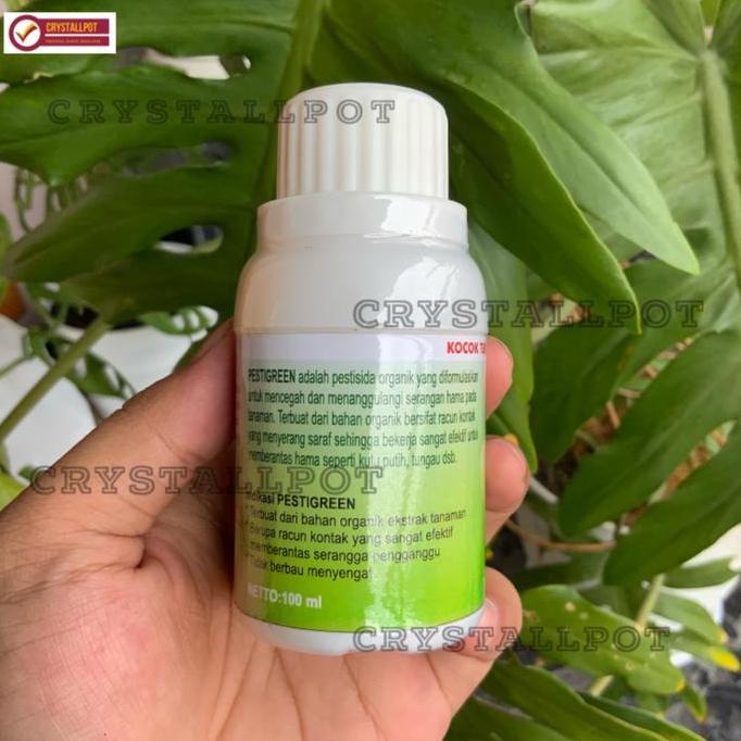 Glasrai- Pestigreen Pestisida Organik 100Ml