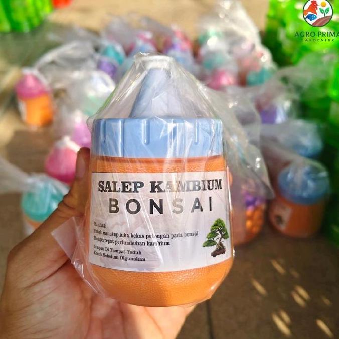 Glasrai- Salep Kambium Bonsai Perlengkapan Alat Bonsai