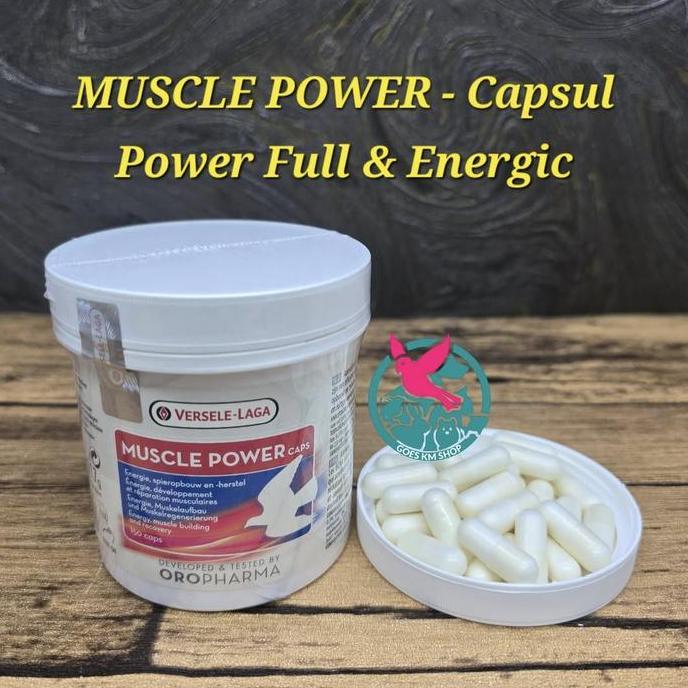 ELITE VERSELE LAGA MUSCLE POWER CAPSULE VITAMIN OTOT MERPATI BALAP SEHAT OPTIMAL