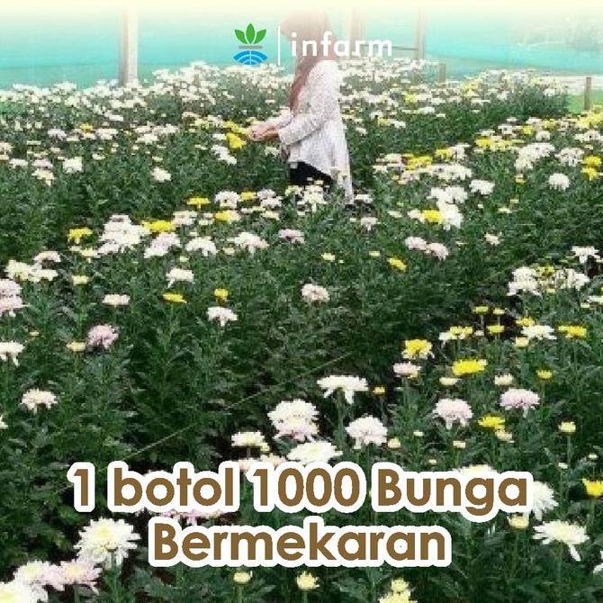 INFARM - Pupuk Organik Cair Tanaman Bunga 100 ml POC Kompos Melebatkan Bunga Pupuk Infarm Pupuk Orga