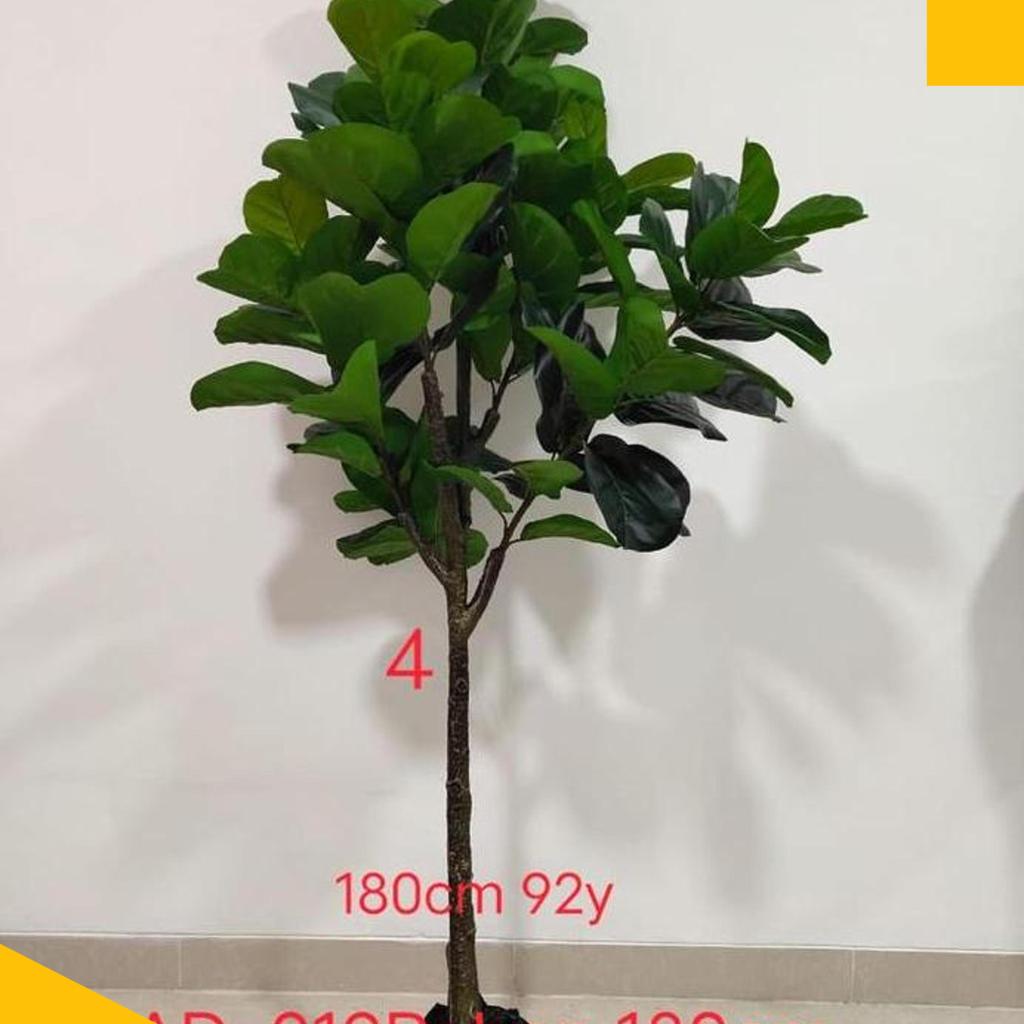 Pohon Ketapang Biola/Ketapang Artificial/Bunga Hias/Tanaman Hias/150Cm