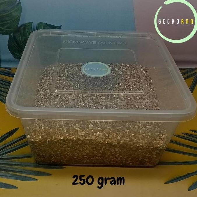 Vermiculite Kotak Besar Media Inkubasi Inkubator Telur Reptil Gecko Kura Varian Plus Besar Lebar