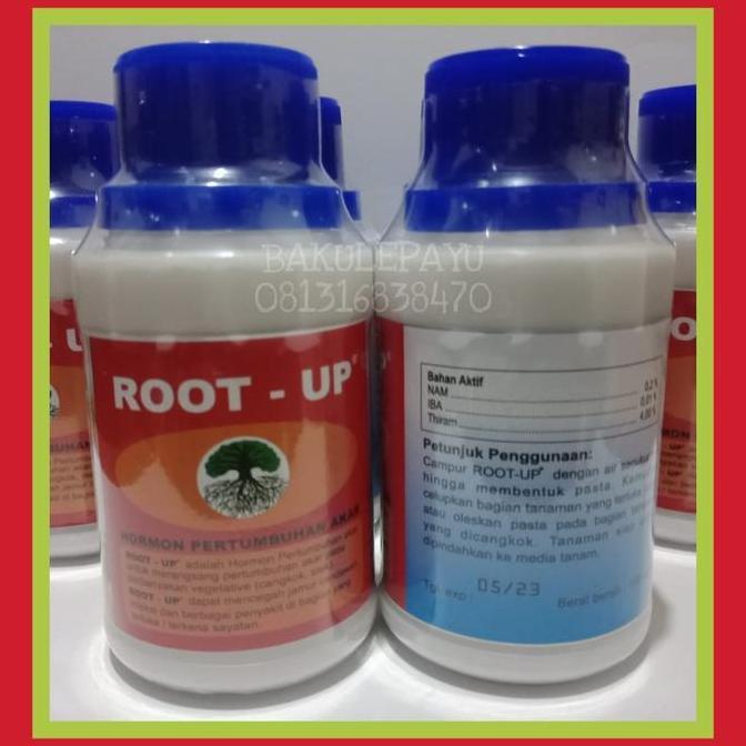 HORMON PERTUMBUHAN AKAR ROOT UP - HORMON AKAR / ROOT - UP / OBAT AKAR