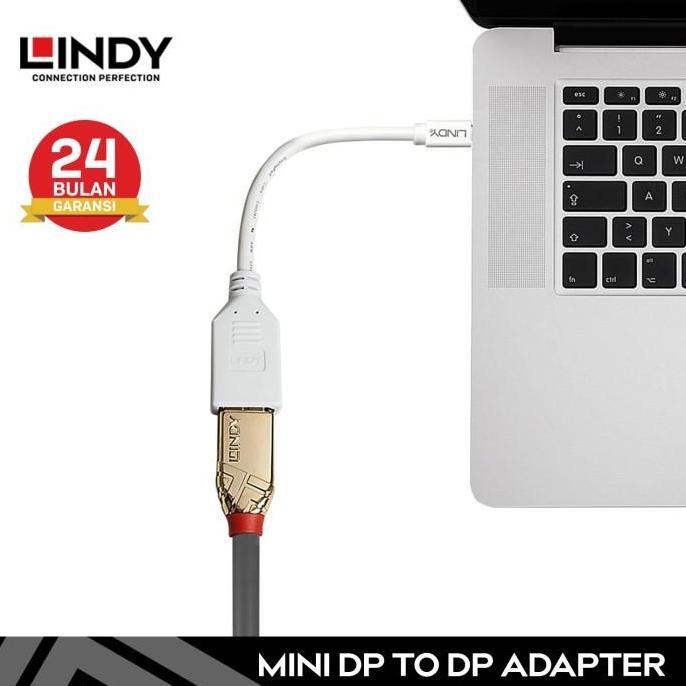 Lansungkirim- Lindy 20Cm Mini Displayport Dp Male To Display Port Adapter Cable