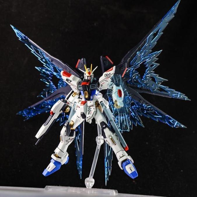 Modello- Gaoke 201 Hg 1/144 Strike Freedom Revive Fighter Mode Kit