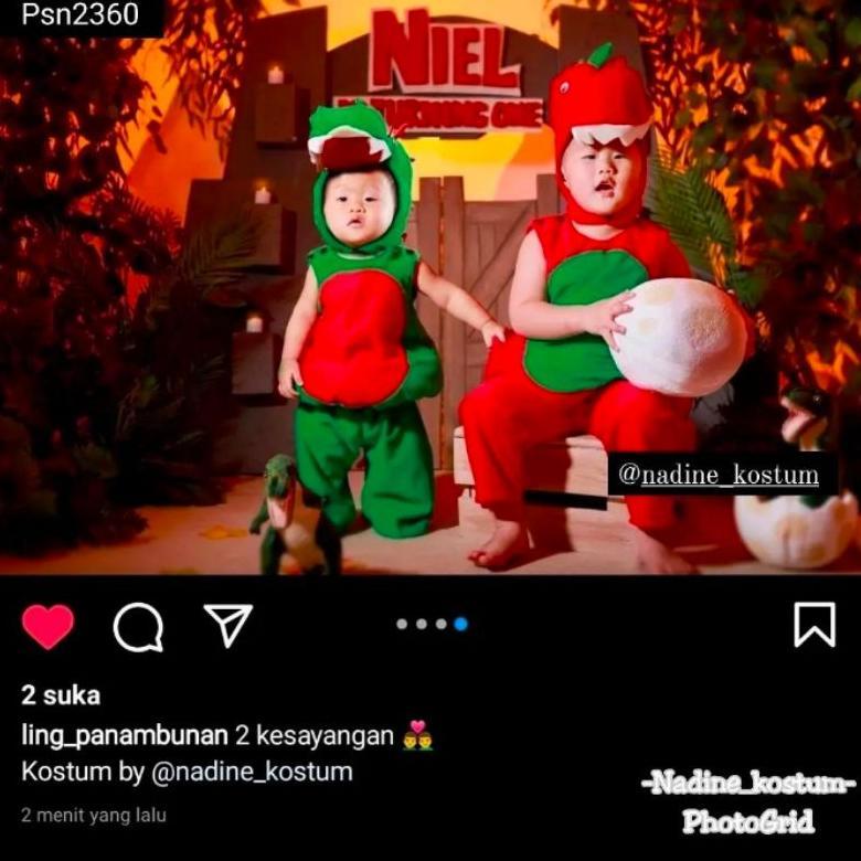 Diskon Kostum Dinosaurus/Kostum Dino/Kostum Binatang/Kostum Binatang Anak/Kostum Hewan/Kostum Dino A