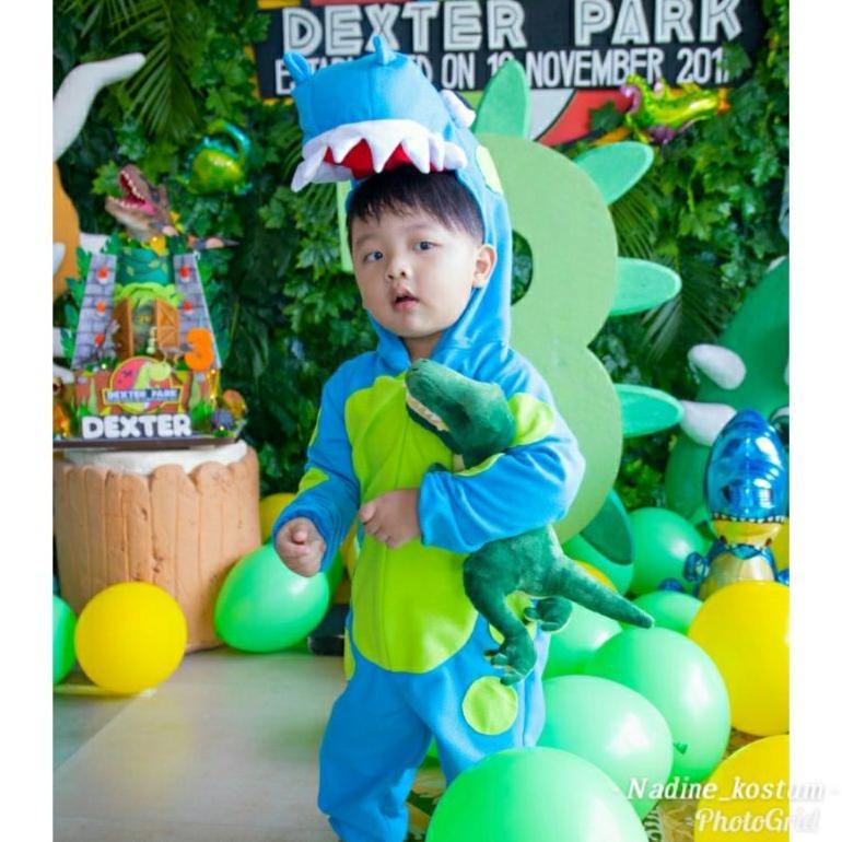 Best Seller Kostum Dino/Kostum Dinosaurus/Kostum Binatang/Kostum Binatang Anak/Kostum Karakter/Nadin