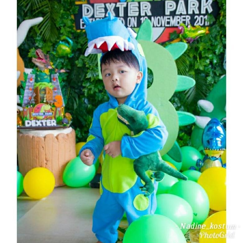 Free Ongkir Kostum Dino/Kostum Dinosaurus/Kostum Binatang/Kostum Binatang Anak/Kostum Karakter/Nadin