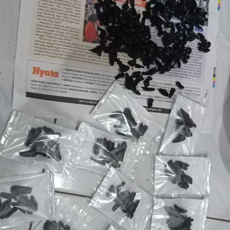 Empedu Ular Cobra Asli Kering Ibu Aminah K_G