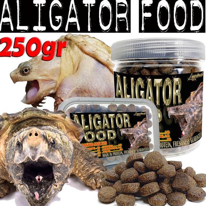 TERLARIS 250GR MAKANAN ALATOR SNAPPING TURTLE FOOD PELET KURA AIR AST CST ALLATOR REPTILE TURTLES BR