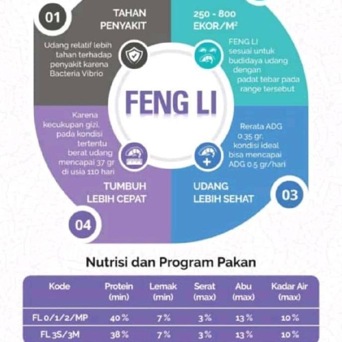TERLARIS PELET MAS KOKI TENGGELAM FENGLI 3 FENG LI 3M PAKAN IKAN KOI UDANG 1KG SINKING FEED MAKANAN 