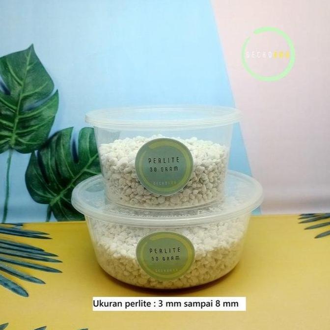 Perlite Media Inkubasi Telur Reptil Gecko