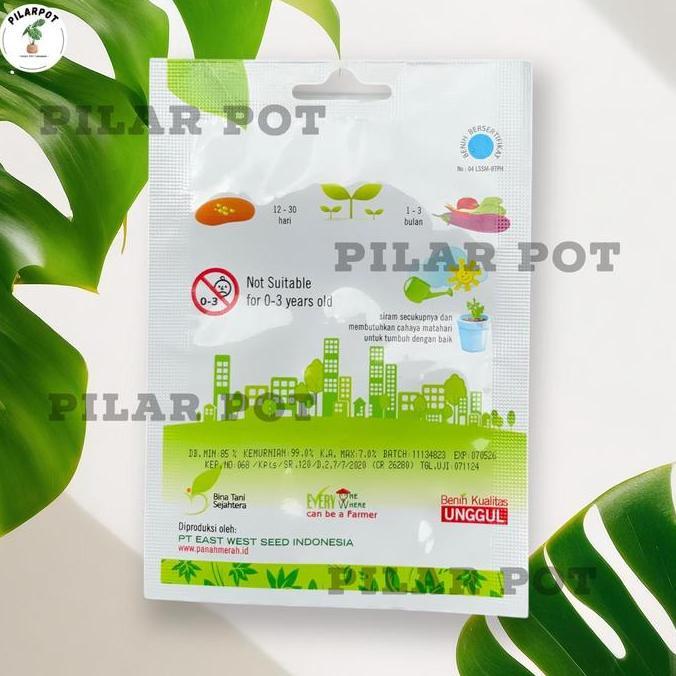 Benih Bibit Cabe Besar Baja F1 Cap Panah Merah - CABAI BESAR BAJA F1 EAST WEST SEED