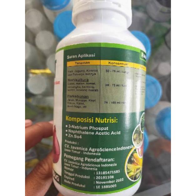 PIONIGARA NUTRISI TANAMAN KERDIL ASMAT 500 ML UNTUK PADI TERLARIS