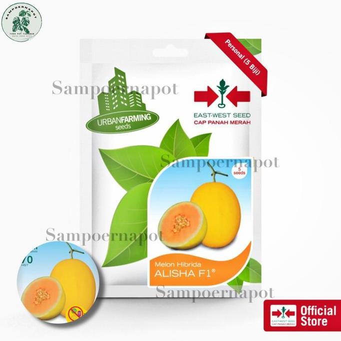 Parkz- Benih Bibit Melon Hibrida Alisha F1 Cap Panah Merah - Melon Alisha F1