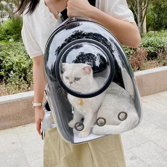 Effort- Tas Hewan Peliharaan Desain Transparan  Tas Anjing Kucing Anabul Anjing & Kucing Tas Ransel 