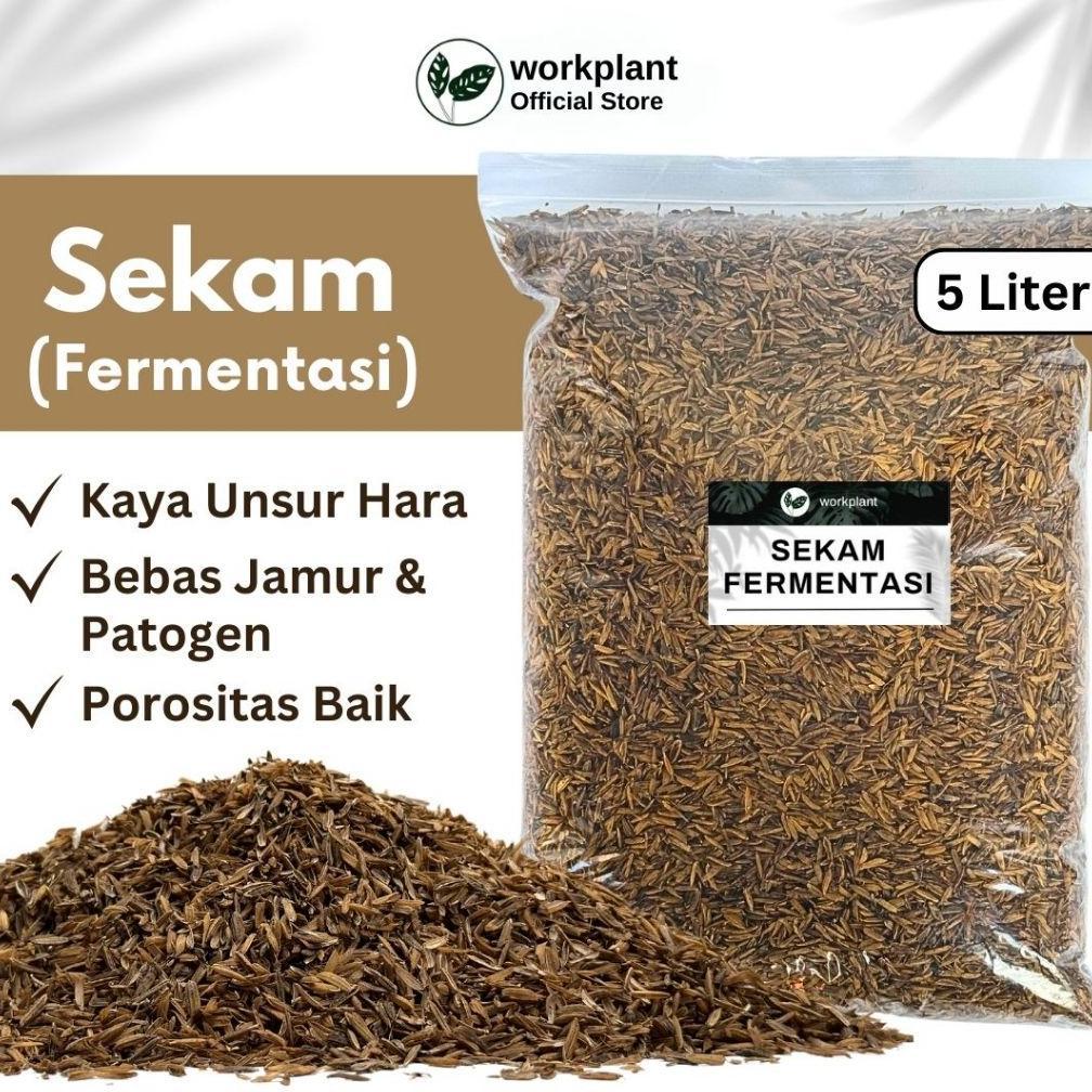Ready Workplant - Sekam Fermentasi Media Tanam Siap Pakai untuk Tanaman Hias Aglonema Philodendron A