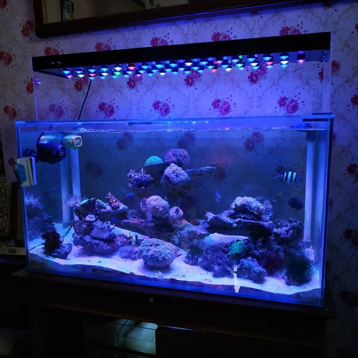 Lampu LED HPL Aquarium Air laut REEF TANK 100cm - 150cm 150watt