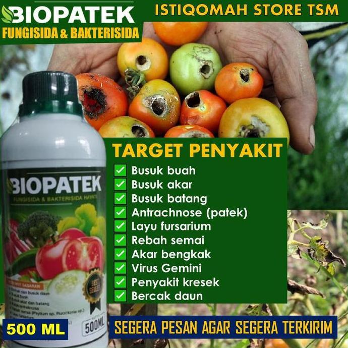 500 ML PUPUK SEMPROT BAWANG DAUN TERBAIK Mampu Mengendalikan MOLER / LAYU FUSARIUM BAWANG MERAH PALI