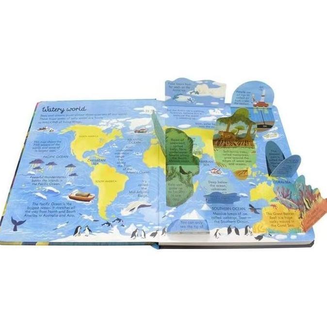 Look Inside Lift the Flap / Buku Edukasi Anak Lift the Flap