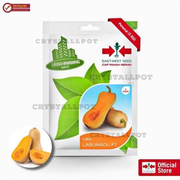 Giardino- Benih Bibit Labu Madu F1 Cap Panah Merah - Labu Madu F1