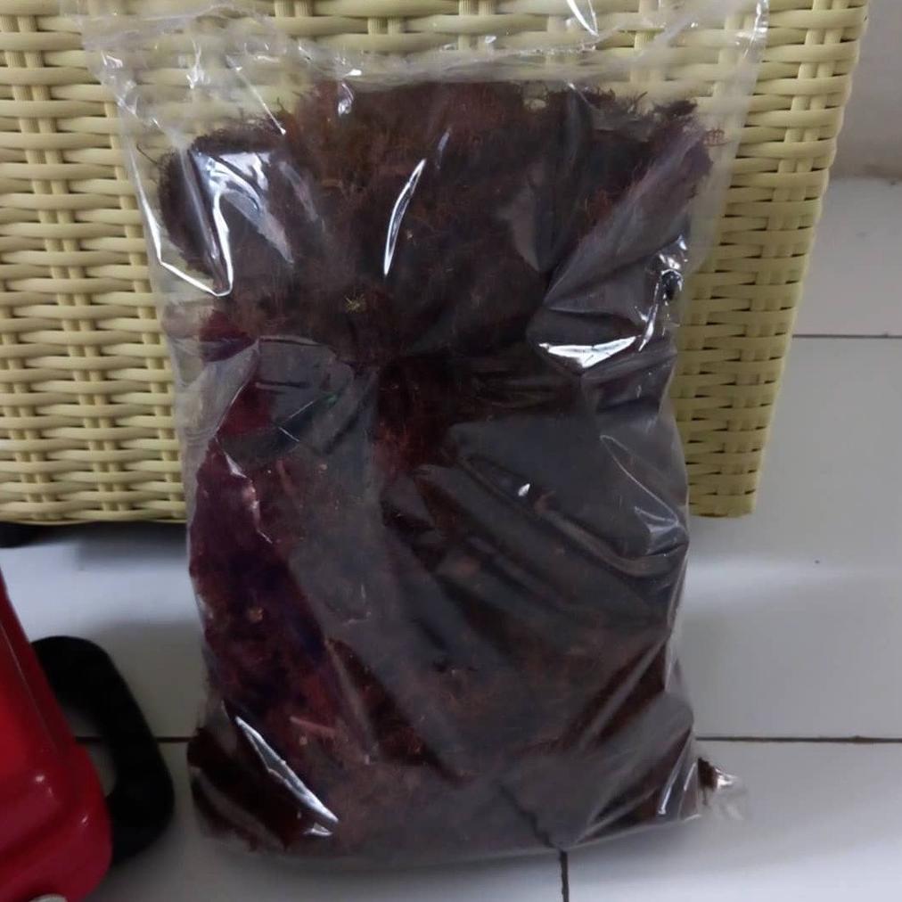 Promo Cod Mos Hitam Asli Media Anggrek 1Kg ><