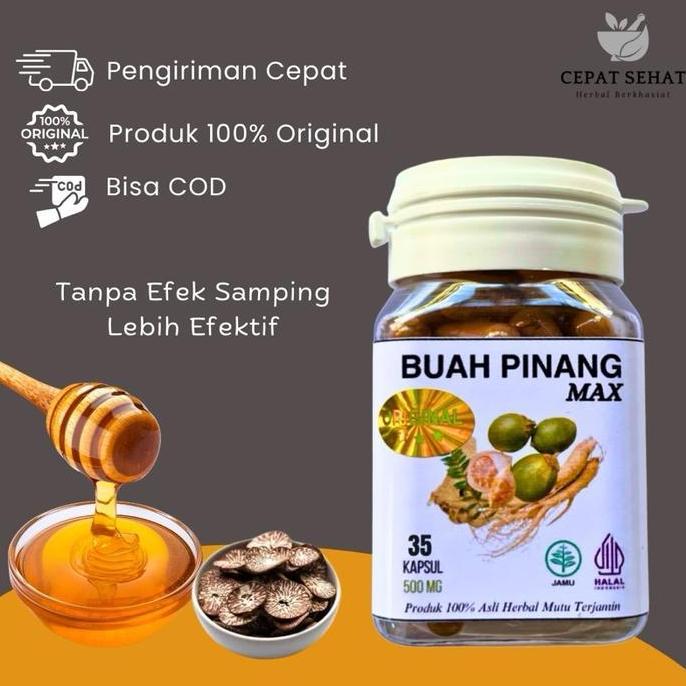 Kapsul Buah Pinang Muda ASLI Original Herbal