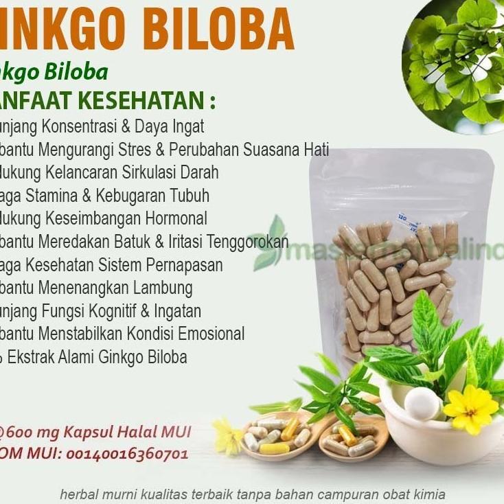 Ginkgo Biloba 100 Kapsul Curah Herbal