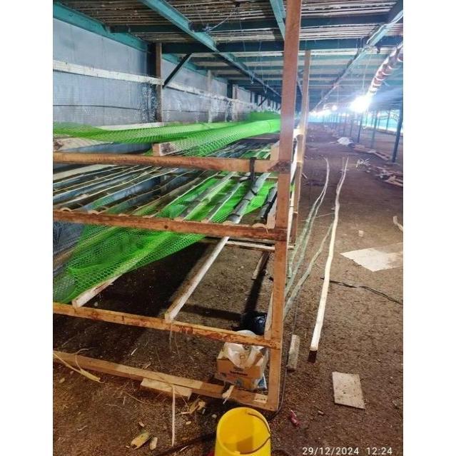 MESH KAWAT PLASTIK 1.550 METER RAM JARING SLAT ALAS LANTAI PAGAR RUANGAN TERNAK KANDANG AYAM PAGAR B