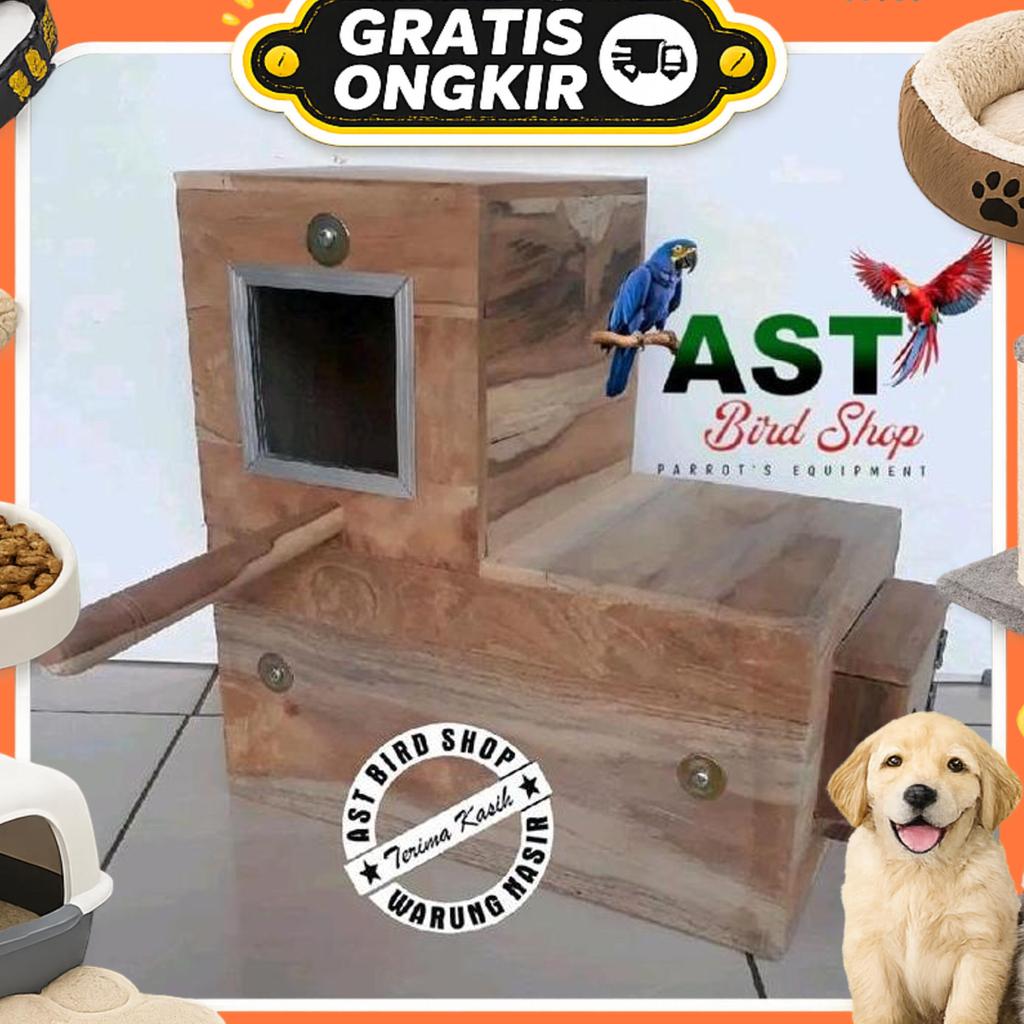 Glodok Untuk Burung Nuri L Penempatan Kanan