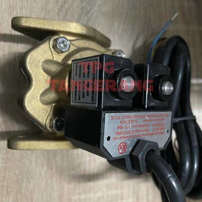 Selenoid Valve 1 Inch Selenoid Double Valve