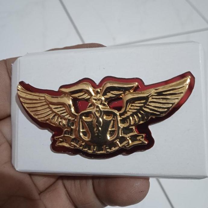 brevet wings pin HuEt