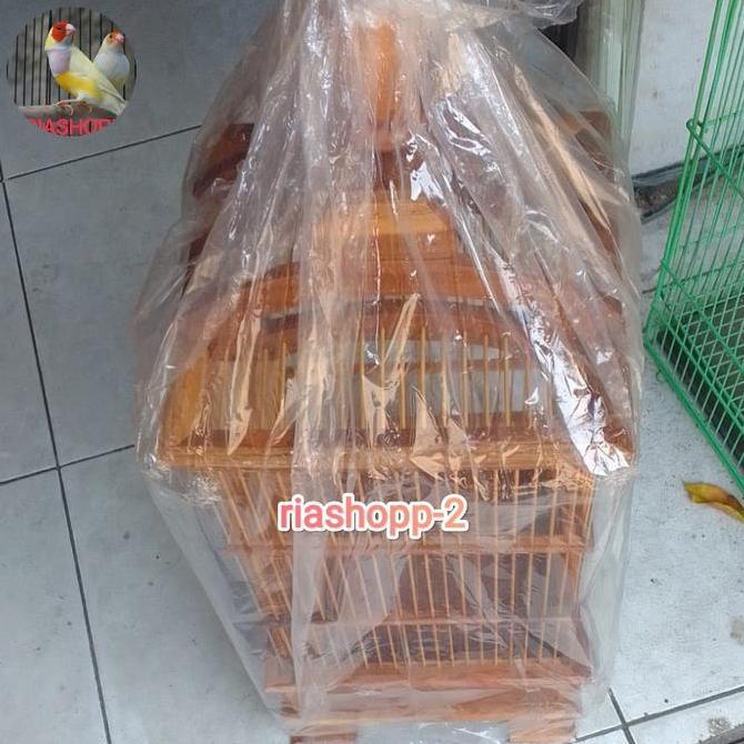NEW SANGKAR KANDANG PLECI KOTAK VERNIS MEWAH ORI