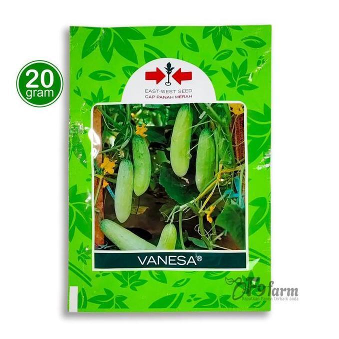 Benih Timun lalap - bibit mentimun hijau Vanesa panah merah 20 gram