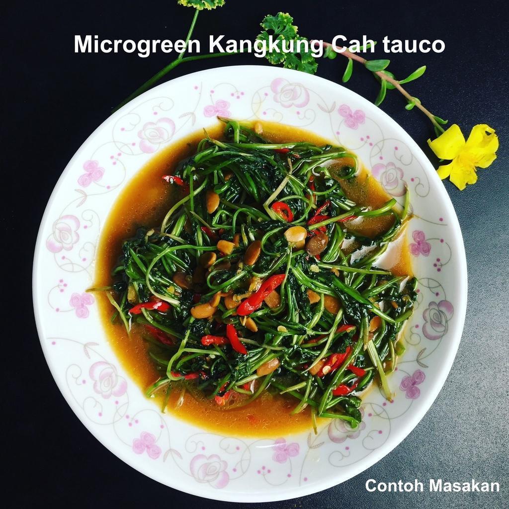 Biji Benih Kangkung Organik