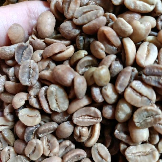 Green Bean Arabika Gayo Wine Strong G1