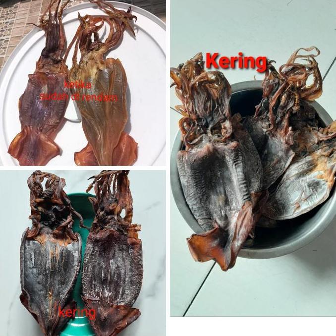Juhi kering tawar 250gram/ Super no 1