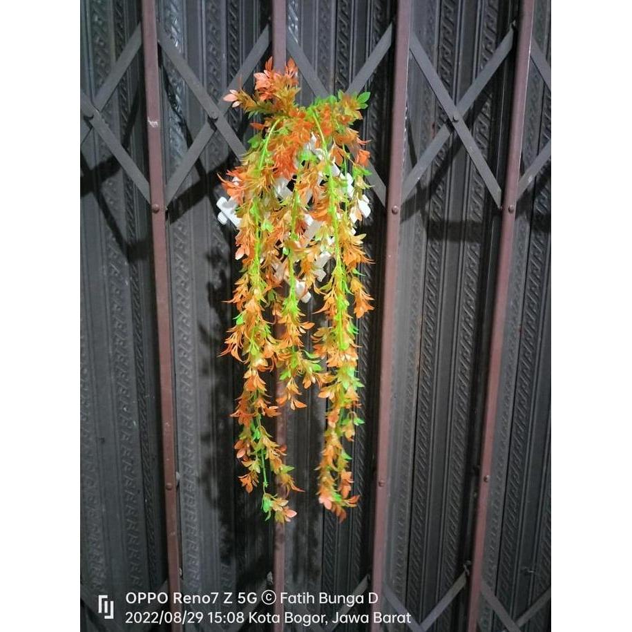 VERNALIA WARNA/BUNGA RAMBAT/BUNGA HIAS/RAMBAT Plastik/RAMBAT ARTIFICIAL/FRE WAJIK/COD/TERMURAH Pot P