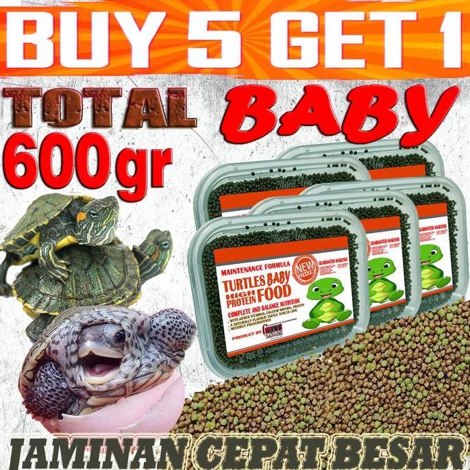 PAKAN BAYI KURA-KURA AIR BRAZIL RES CST AST ALIGATOR PELET SMALL BABY TURTLE FOOD ANAKAN KURA AMBON 