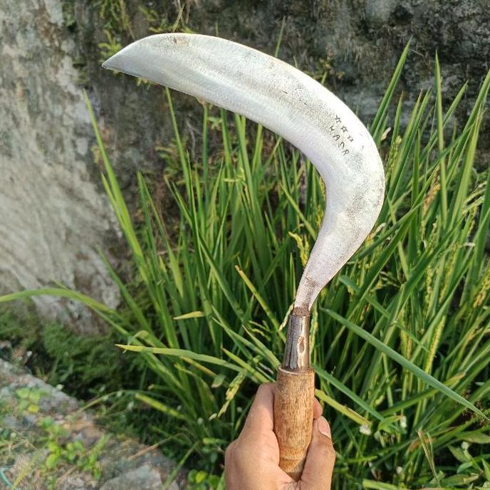 Robybrambang19  - sabit rumput bahan baja putih arit baja per sepuhan